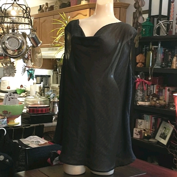 Sleeveless Sheer Blouse